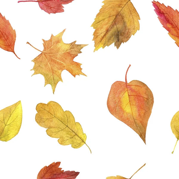 Seamless pattern with autumn leaves in watercolor — Stock Photo, Image