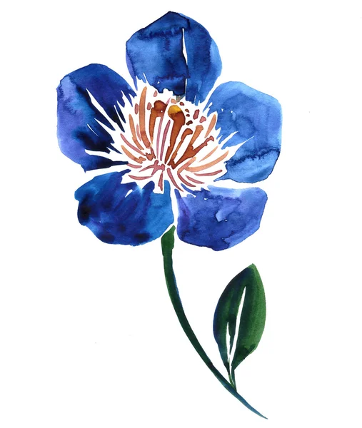 Akvarel výkresu květ — Stock fotografie