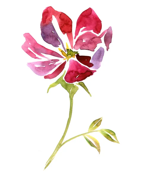 Watercolor drawing flower — Stock Photo, Image