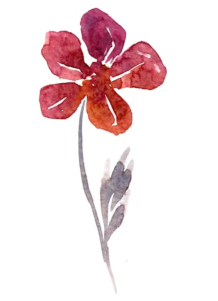 Watercolor drawing flower — Stock Photo, Image