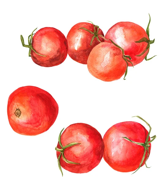 Set of watercolor drawing tomatoes — Stock Photo, Image