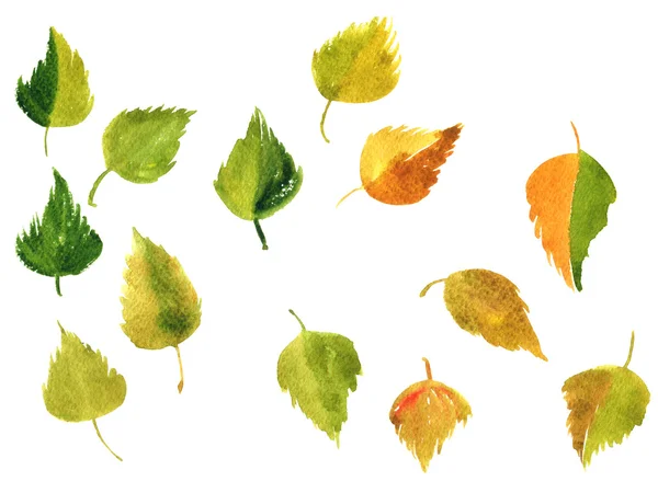 Set of silhouettes by leaves in watercolor — Stock Photo, Image