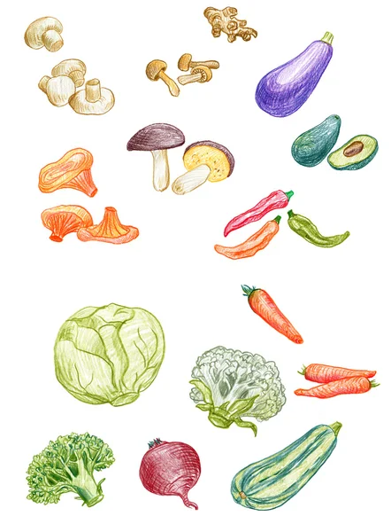 Mushrooms elements — Stock Image Mushrooms elements Royalty Free Stock Photos
