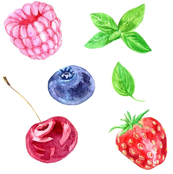 Aquarellbeeren — Stockfoto