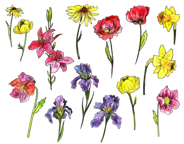 Uppsättning av akvarell trädgård blommor — Stockfoto