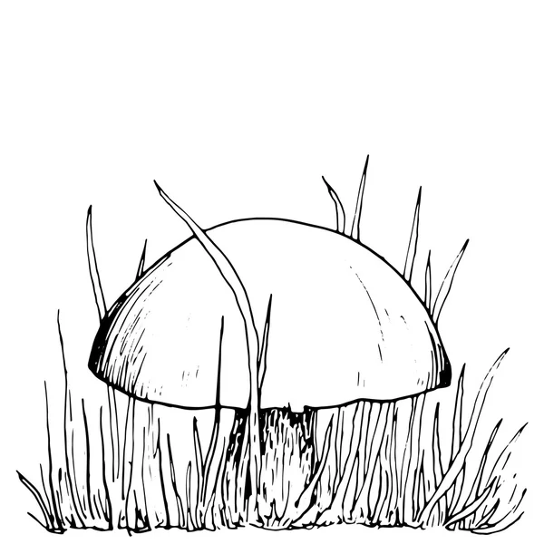 Tinta dibujo sala de musgo y hierba — Vector de stock