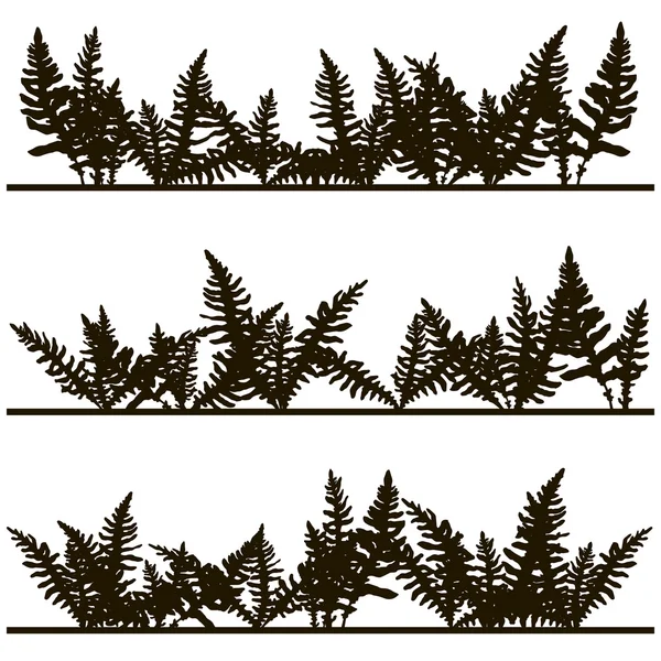 Set of ink drawing fern leaves — Stock Vector