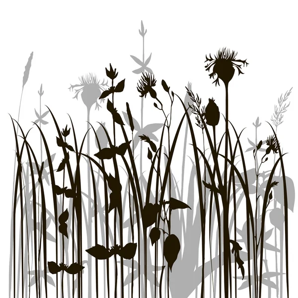 Silhouetten van kruiden en bloemen — Stockvector