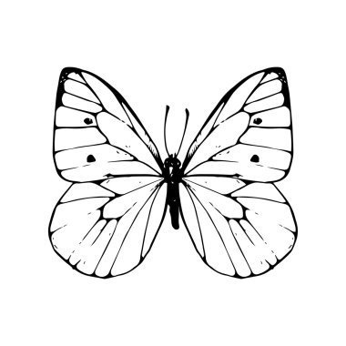 elle çizilmiş kelebek