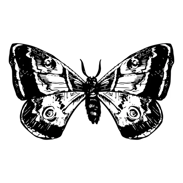 Papillon dessiné à la main — Image vectorielle