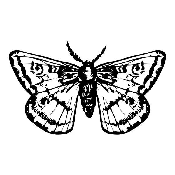 Papillon dessiné à la main — Image vectorielle