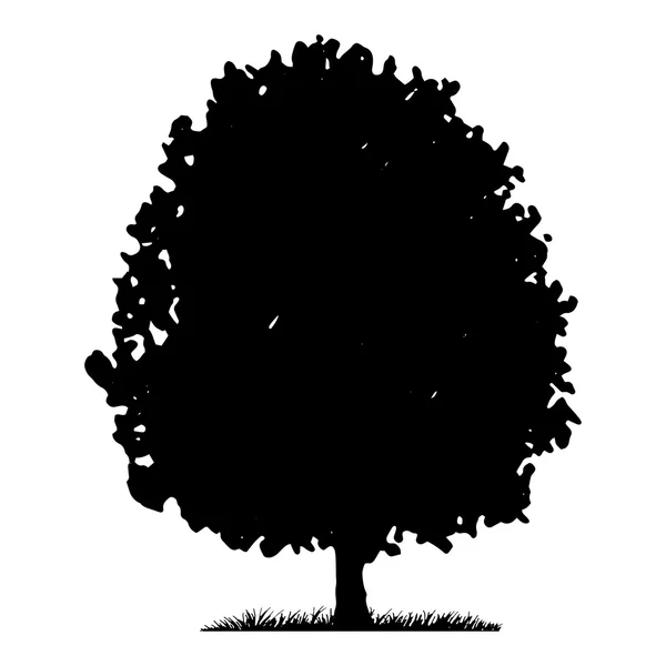 Silhouette albero ed erba — Vettoriale Stock