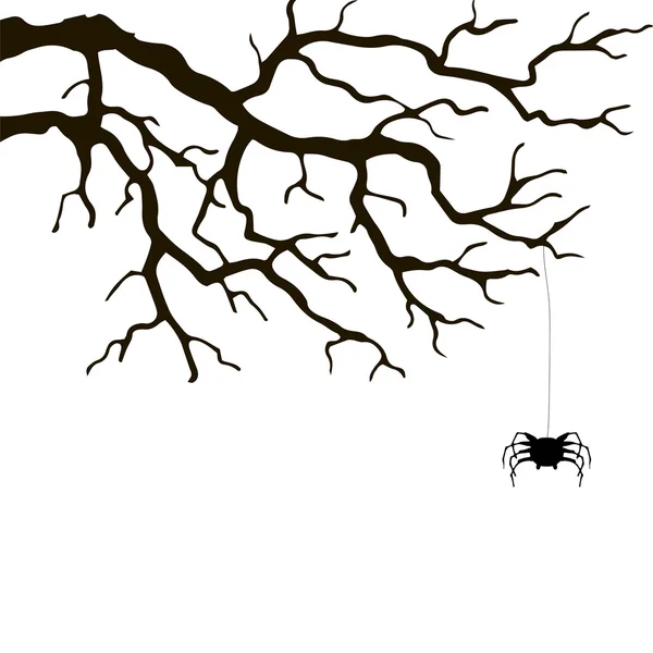 Hand drawn branch and spider — Stock Vector