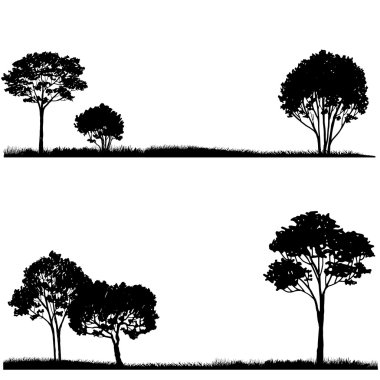 Ağaç ve otların siluet