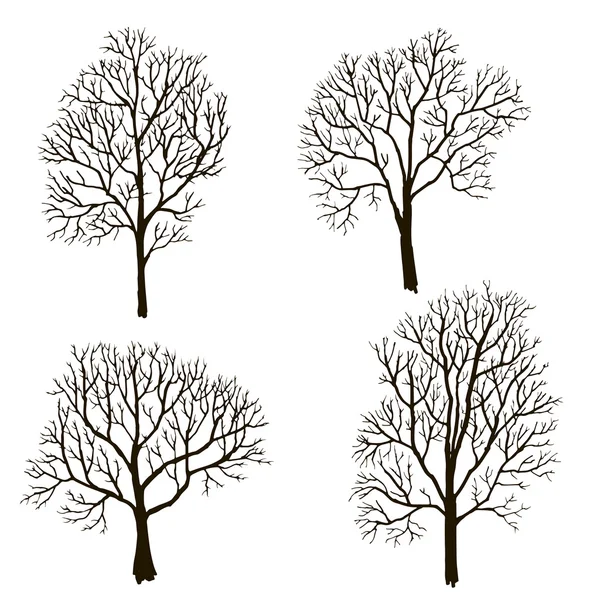 Trees without leaves silhouette — Stock Vector