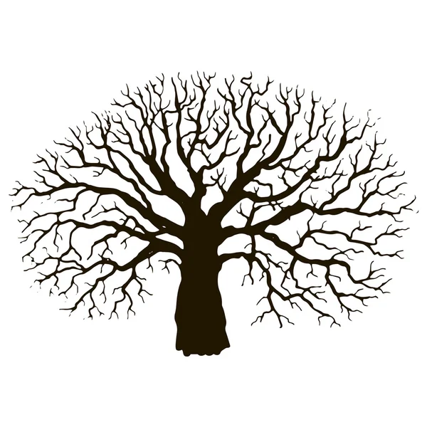 Tree without leaves silhouette — Stock Vector