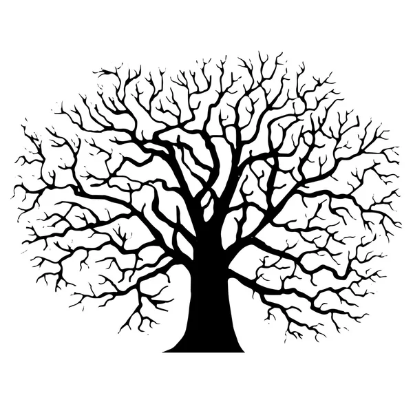 Árbol sin silueta de hojas — Archivo Imágenes Vectoriales