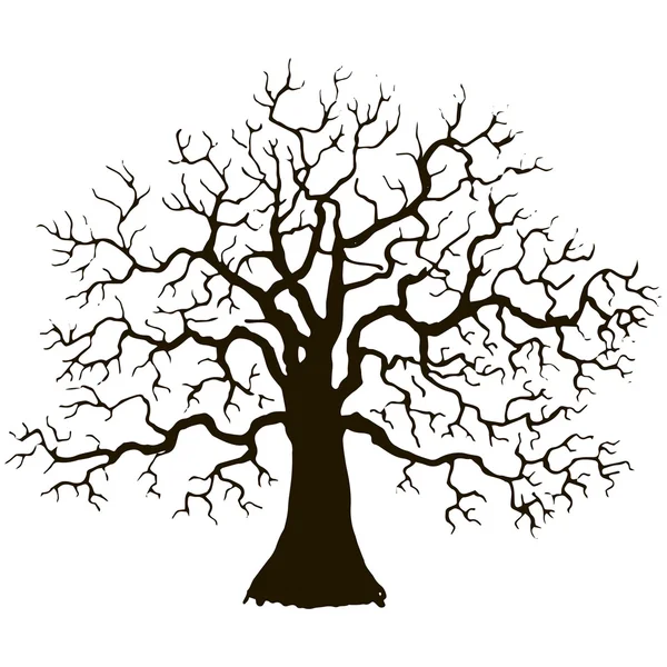 Árbol sin silueta de hojas — Vector de stock