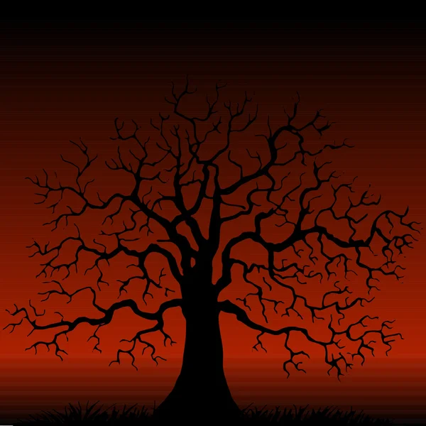 Arbre sans feuilles silhouette — Image vectorielle