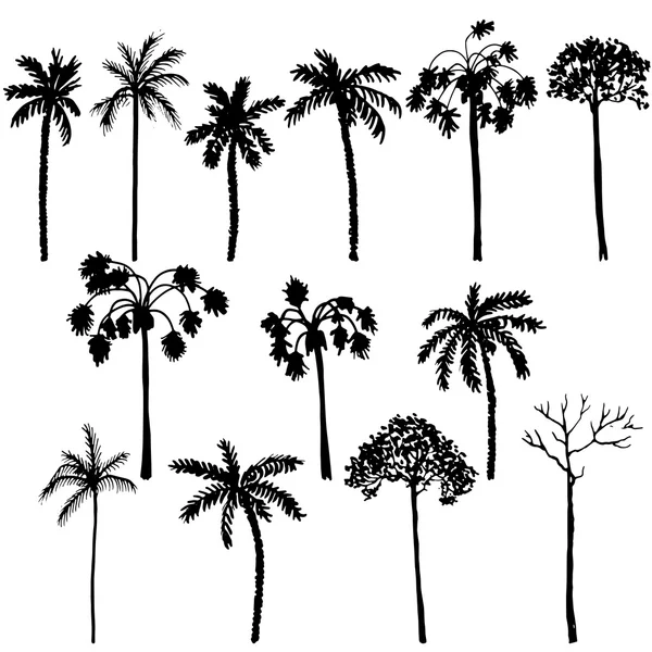 Conjunto de siluetas de palmera — Archivo Imágenes Vectoriales
