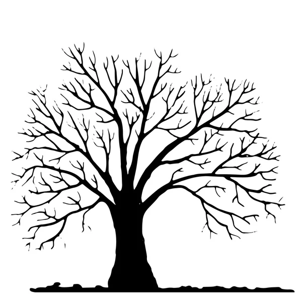 Árbol sin silueta de hojas — Archivo Imágenes Vectoriales