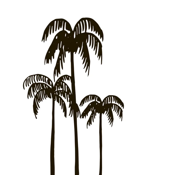 Selva tropical, siluetas de palmeras — Vector de stock