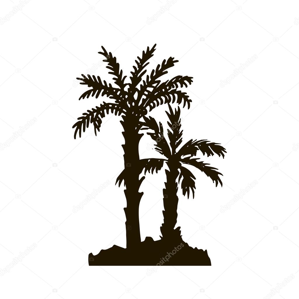 rain forest, palm tree silhouettes