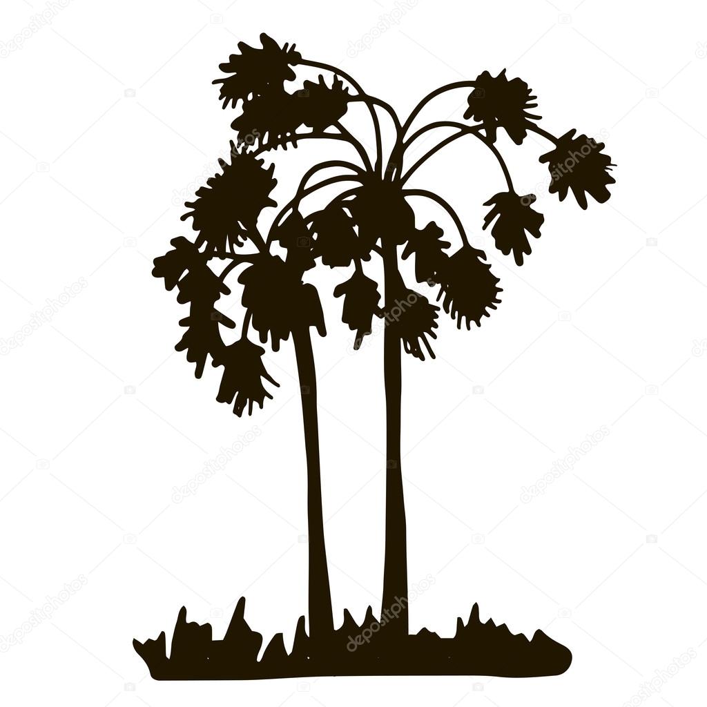 rain forest, palm tree silhouettes