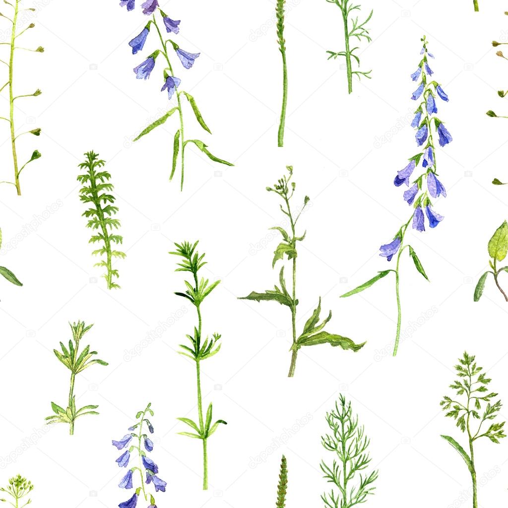 seamless pattern with herbs and flowers