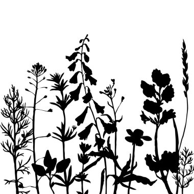 yabani otlar ve çiçek Vector silhouettes