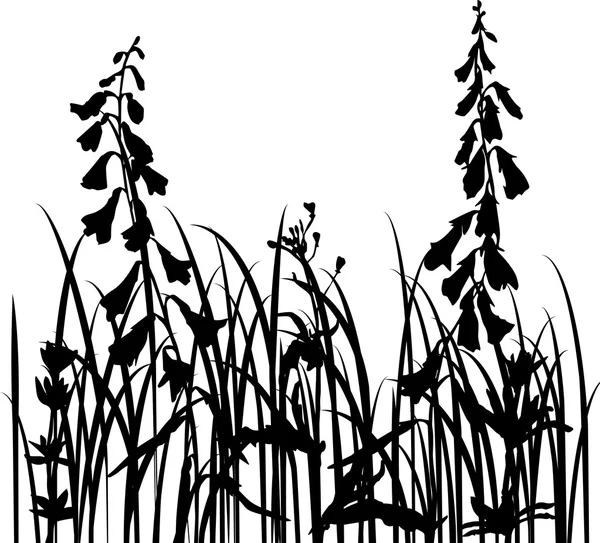 Silhouettes vectorielles d'herbes et de fleurs sauvages — Image vectorielle