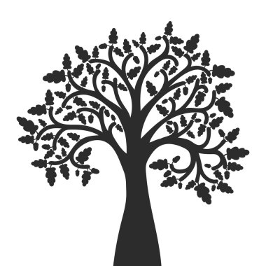 meşe ağacının yaprakları ile silüeti