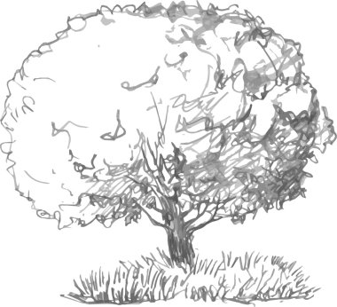 yaprak döken ağaç yaprakları ve çim ile