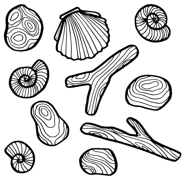 Coquilles et pierres — Image vectorielle