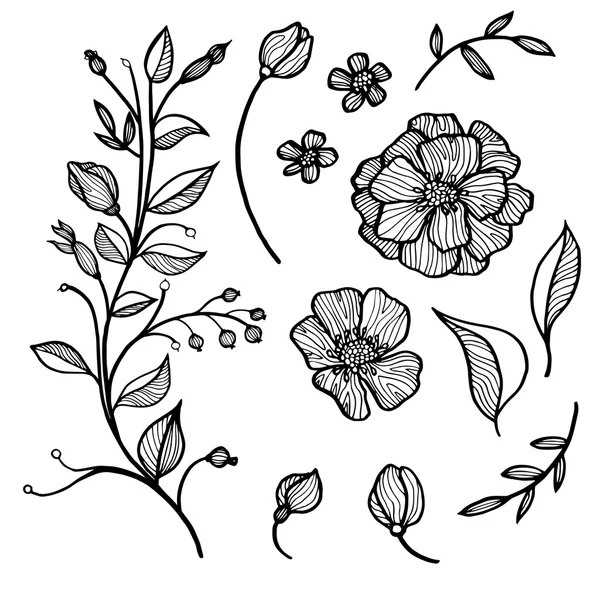 花や葉の集合 — ストックベクタ