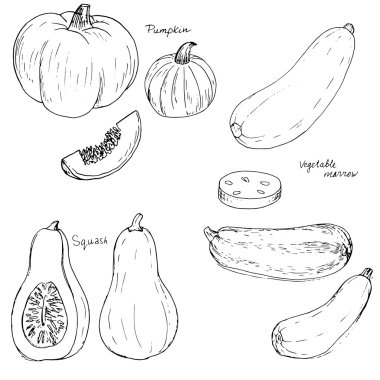 El yapımı sebzeler