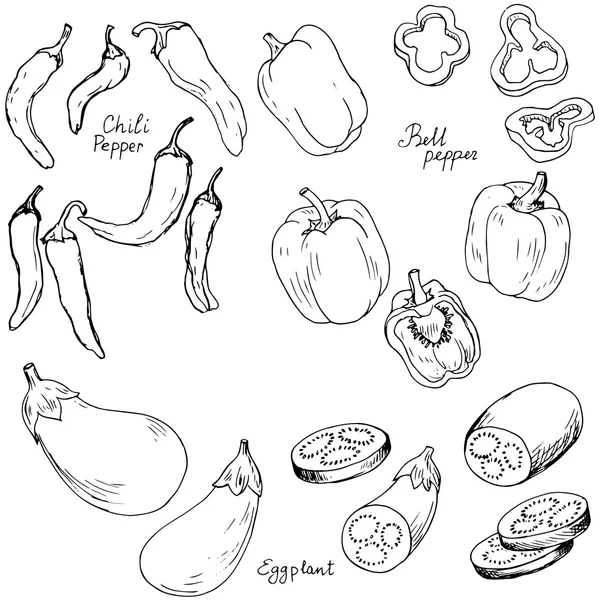 Λαχανικά ζωγραφισμένα στο χέρι — Διανυσματικό Αρχείο