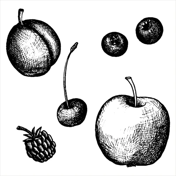 手工绘制的水果和浆果 — 图库矢量图片