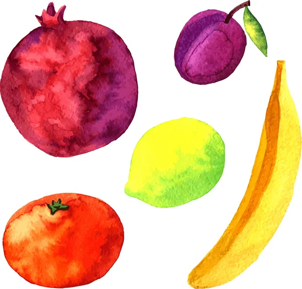 Watercolor drawing fruits — Stock Vector