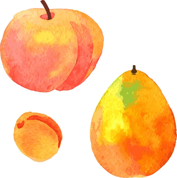 Watercolor drawing fruits — Stock Vector