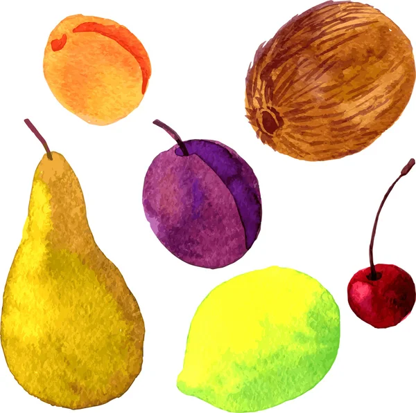 Aquarelle dessin fruits — Image vectorielle