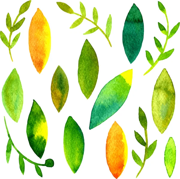 Vektör suluboya yeşil yaprakları ve dalları — Stok Vektör