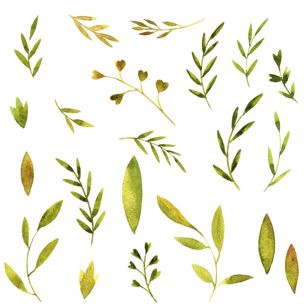 Akvarel sada listí a větve — Stock fotografie
