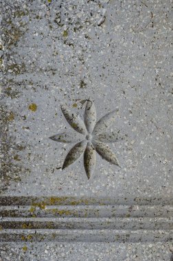 Paralel çizgileri ve çiçek resmi olan gri taş levha. Yosun ve yosunla kaplı bir taşın üzerine oyma. Hiç kimse olmadan.