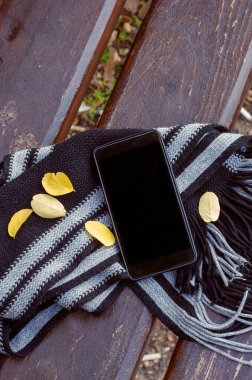 Akıllı telefon, dökülen yapraklar ve bankta çizgili bir eşarp. Kahverengi ahşap bankta siyah bir cihaz. İnsan yok. Yaşam biçimi