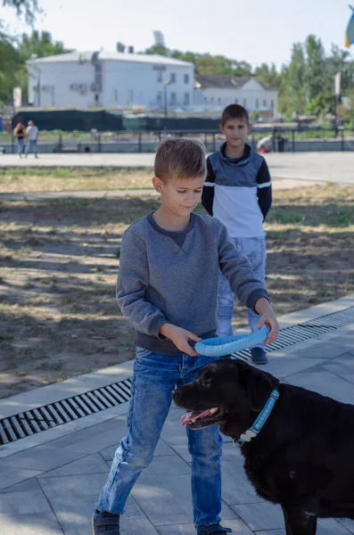 Dois Irmãos Caminharão Com Labrador Fora Crianças Brincam Com Aro — Fotografia de Stock