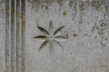 Paralel çizgileri ve çiçek resmi olan gri taş levha. Yosun ve yosunla kaplı bir taşın üzerine oyma. Hiç kimse olmadan.