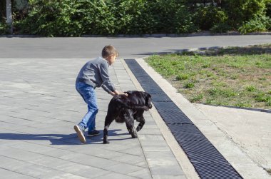 Çocuk dışarıda labrador köpeğiyle oynuyor. Sekiz yaşında bir çocuk ve on yaşında siyah bir dişi köpek. Parkta yürü. Aşk hayvanları.