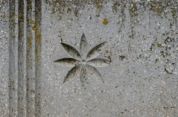 Paralel çizgileri ve çiçek resmi olan gri taş levha. Yosun ve yosunla kaplı bir taşın üzerine oyma. Hiç kimse olmadan.