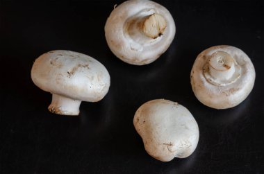 Çiğ şampiyonlar siyaha. Dört mantar mantarı yakın plan. Seçici odak.